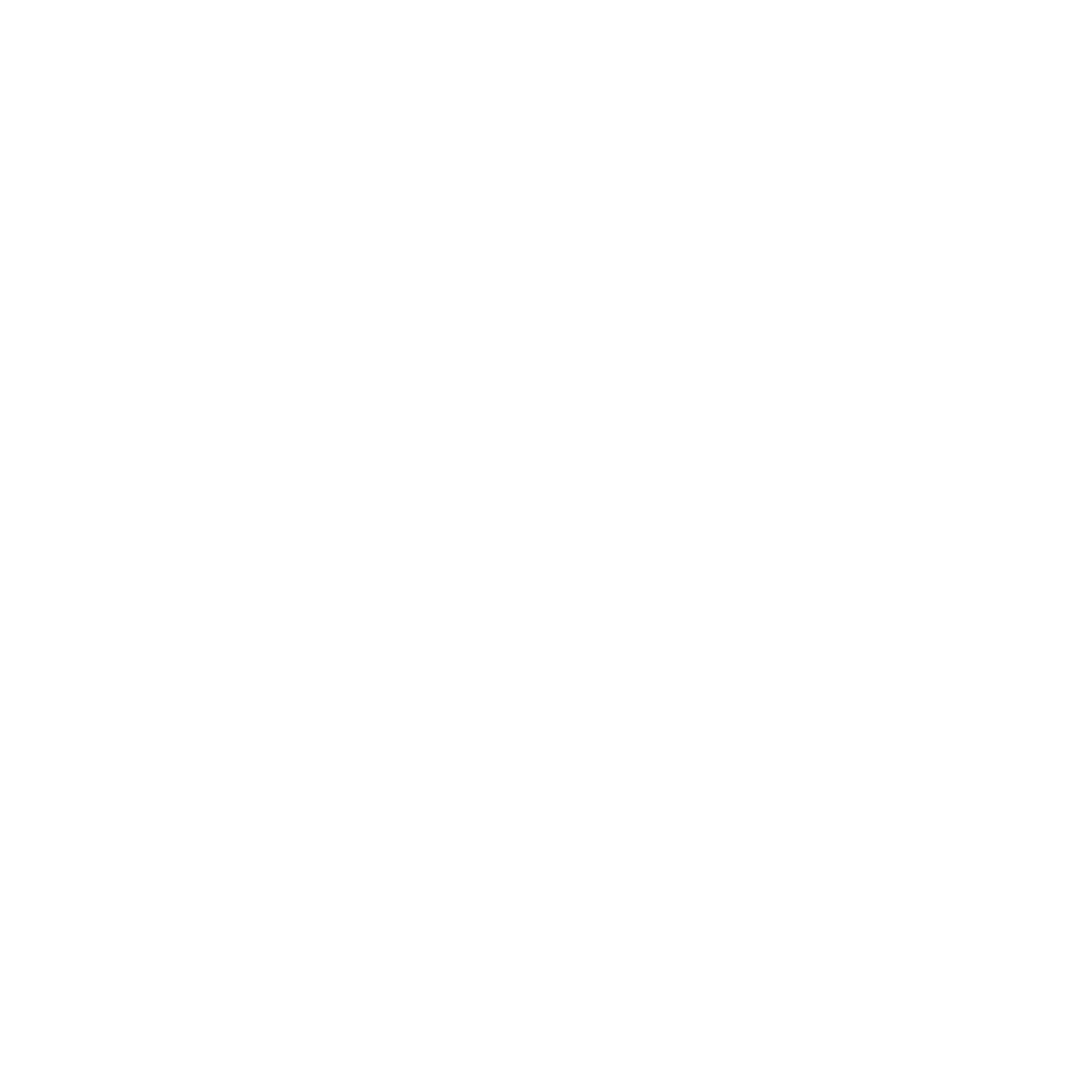 Therapists